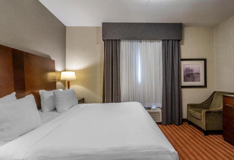 带大床的套房, Devonian Hotel And Suites