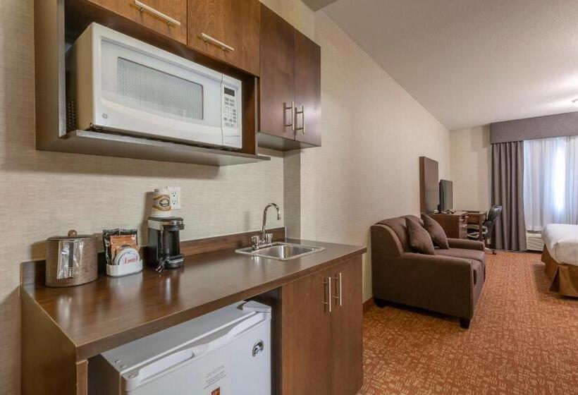 带大床的套房, Devonian Hotel And Suites