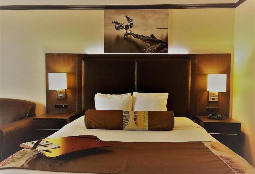 一楼标准间, L Escale Hôtel Suites