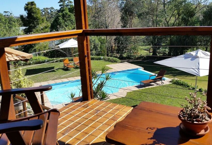 Апартаменты Комфорт 1 Спальня, Pumula Lodge 4 Star B&b Knysna