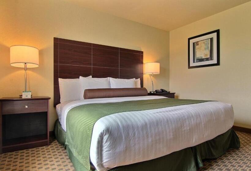 스탠다드 룸 킹사이즈 침대, Cobblestone Inn & Suites  Linton