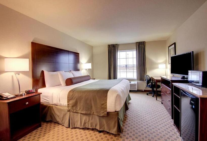 스탠다드 룸 킹사이즈 침대, Cobblestone Inn & Suites  Linton