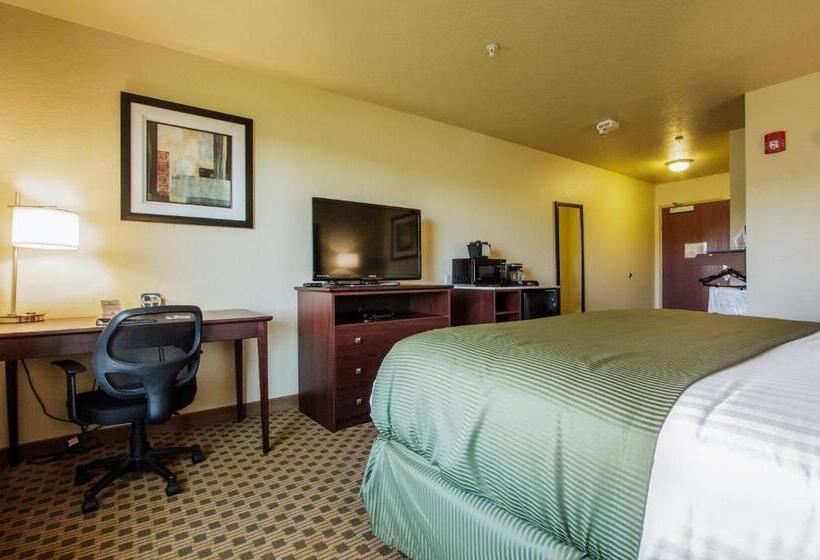 장애인을 위한 킹사이즈 침대 스탠다드 룸, Cobblestone Inn & Suites  Linton