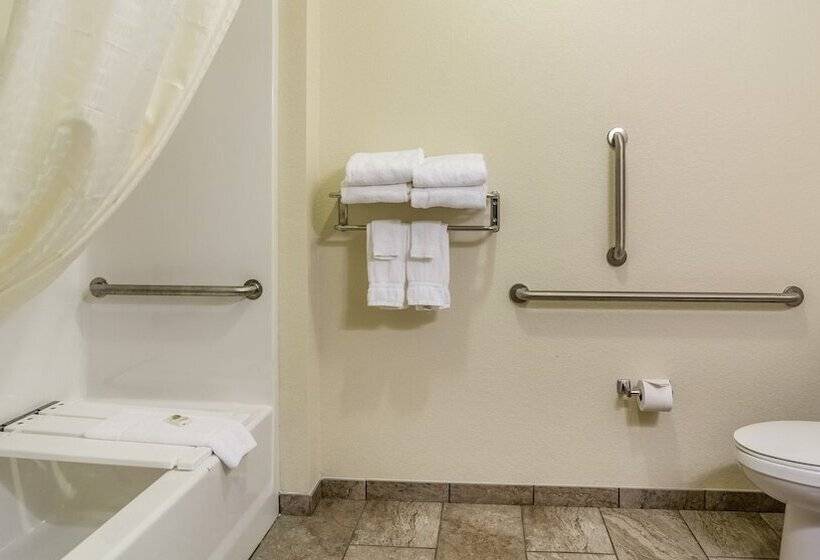 장애인을 위한 킹사이즈 침대 스탠다드 룸, Cobblestone Inn & Suites  Linton