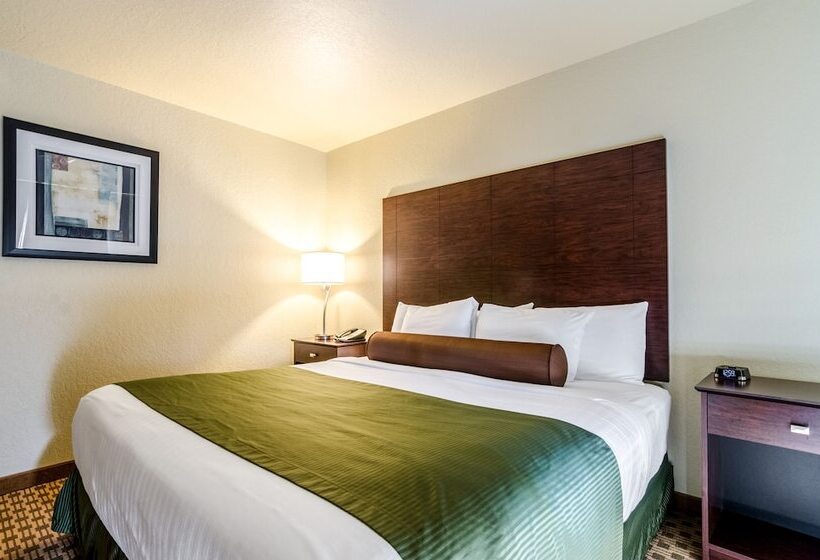 장애인을 위한 킹사이즈 침대 스탠다드 룸, Cobblestone Inn & Suites  Linton