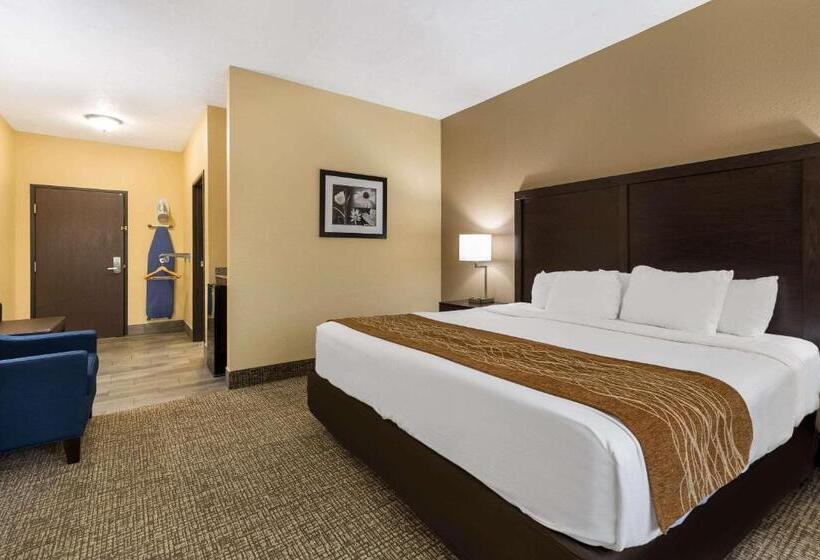 اتاق استاندارد با تخت بزرگ, Comfort Inn Yankton Sd