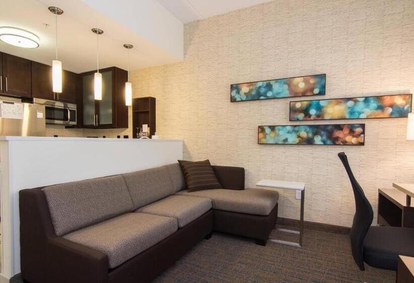 带大床的标准工作室, Residence Inn Raleigh Durham Airport/brier Creek