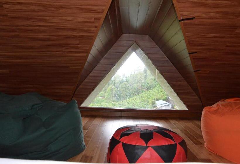 Penthouse Room, Heaven Seven  Nuwara Eliya