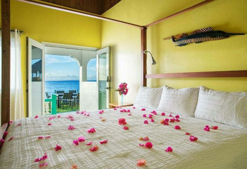 اتاق استاندارد با تخت بزرگ, Luna Sea Inn