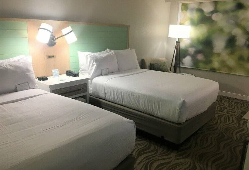 اتاق استاندارد با 2 تخت دوبل, Wyndham Garden Lake Buena Vista Disney Springs® Resort Area