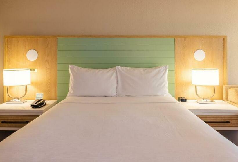 اتاق استاندارد با تخت بزرگ برای معلولان, Wyndham Garden Lake Buena Vista Disney Springs® Resort Area