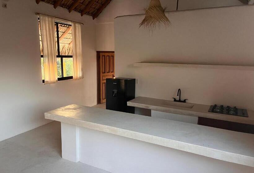 带1个卧室的顶楼公寓, La Punta Rooms