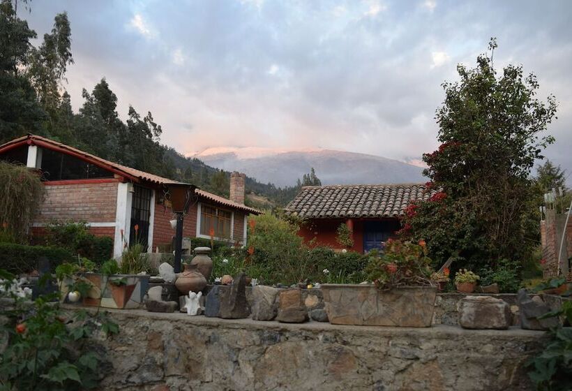 اتاق استاندارد, La Casita De Mi Abuela
