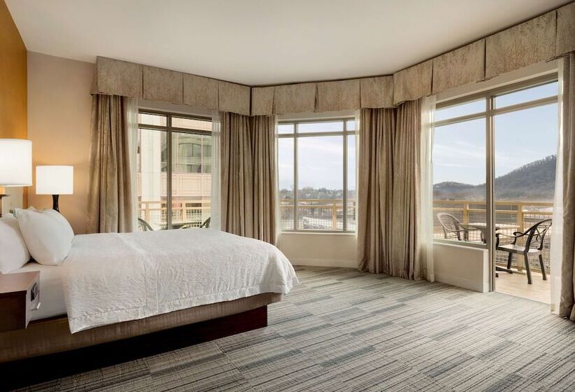 Студия Стандарт Двуспальная Кровать, Hampton Inn & Suites Roanokedowntown
