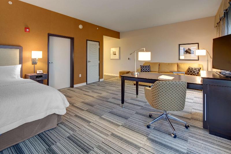 Студио Стандарт Кровать Кинг, Hampton Inn & Suites Roanokedowntown