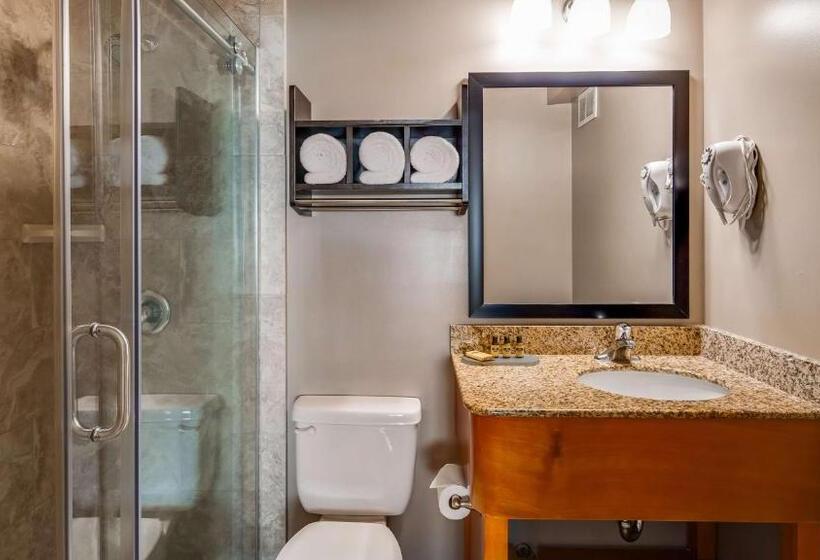 חדר סטנדרט עם מיטת קינג, Best Western Plus Hyde Park Chicago
