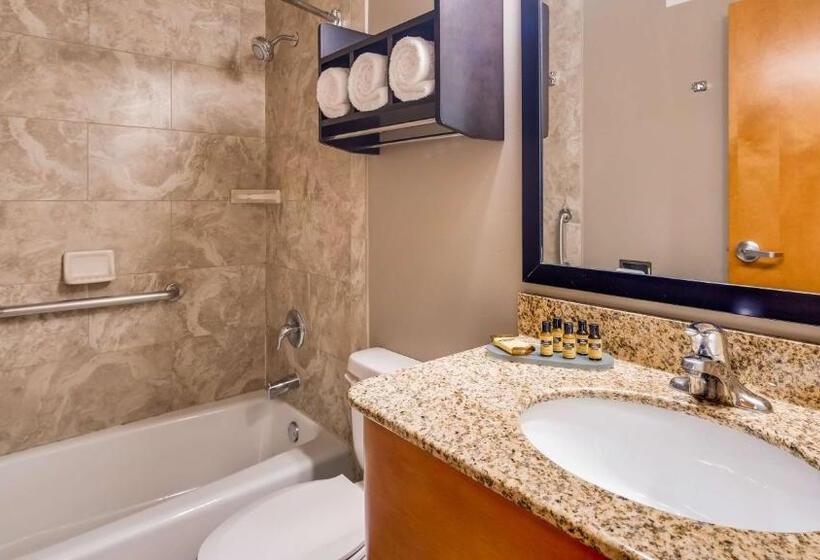 סוויטה, Best Western Plus Hyde Park Chicago