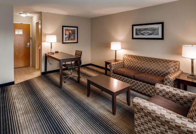חדר אקזקיוטיב חדר קינג, Best Western Plus Hyde Park Chicago