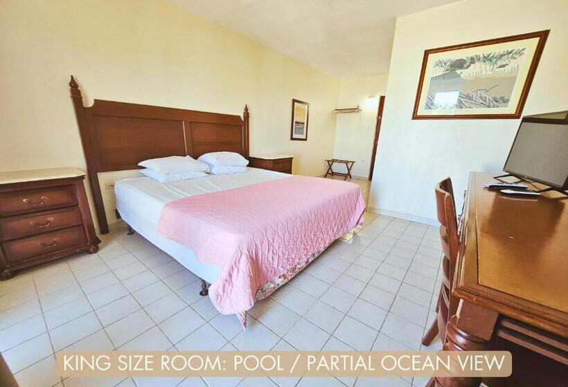 اتاق استاندارد با تخت بزرگ, Selva Boutique Hotel   Luquillo Oceanfront Retreat   Adults Only