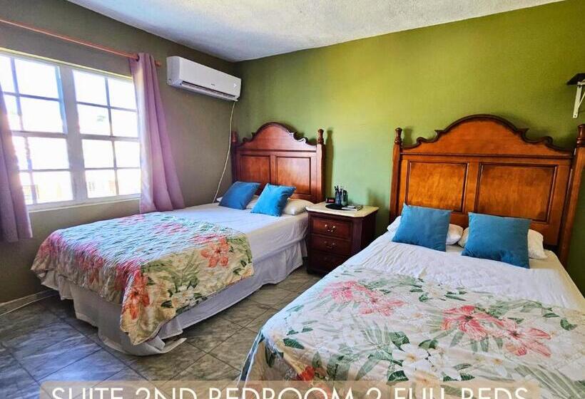 سوئیت با تخت بزرگ, Selva Boutique Hotel   Luquillo Oceanfront Retreat   Adults Only