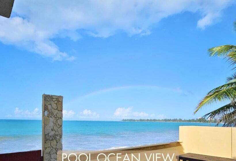 اتاق استاندارد با تخت بزرگ, Selva Boutique Hotel   Luquillo Oceanfront Retreat   Adults Only