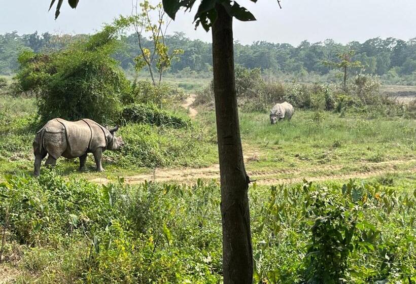 اتاق استاندارد با بالکن, River View Jungle Camp