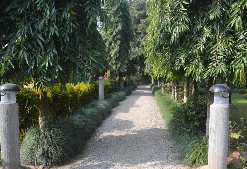 ویلای استاندارد با چشم‌انداز باغ, River View Jungle Camp