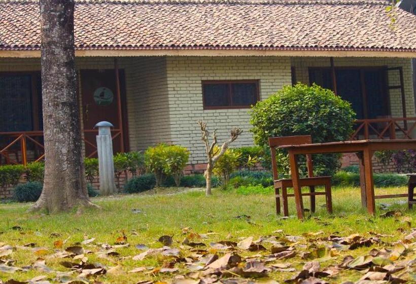 ویلای استاندارد با چشم‌انداز باغ, River View Jungle Camp