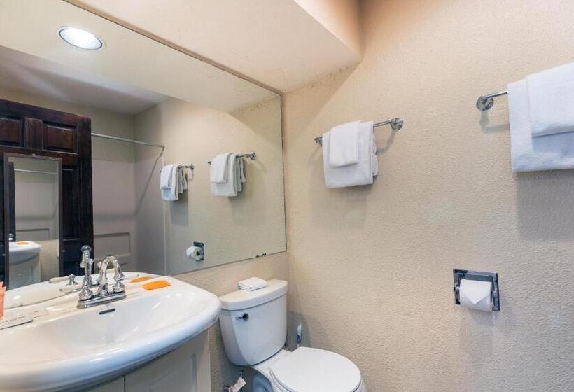 Студия Стандарт, Manitou Lodge 5 Hotel Room By Alpine Lodging Telluride