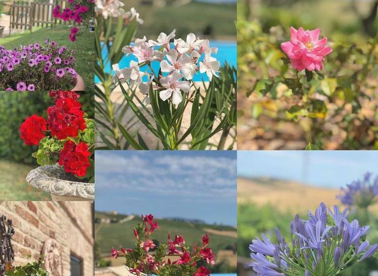اتاق لوکس, B&b Casa Fanny Riviera Del Conero