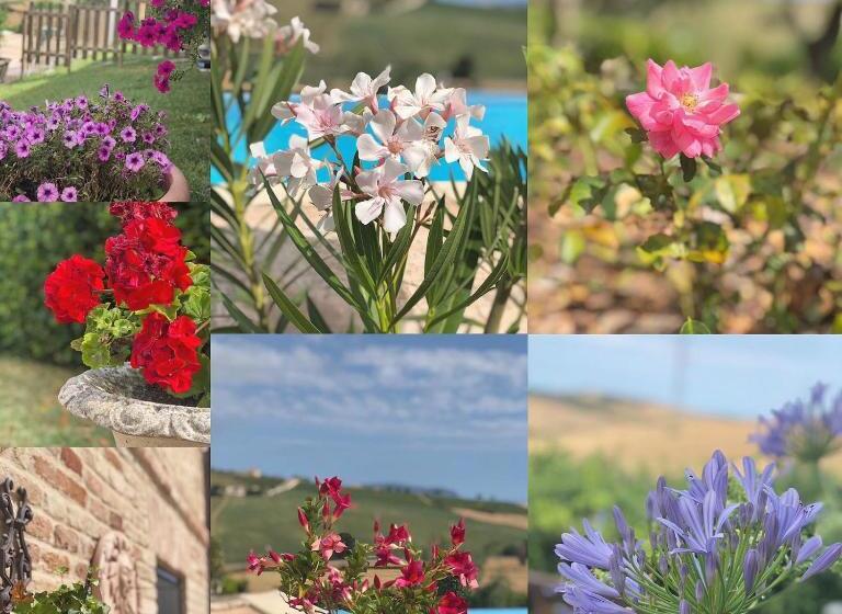 استودیو استاندارد با چشم‌انداز باغ, B&b Casa Fanny Riviera Del Conero