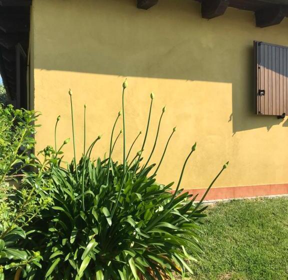 اتاق استاندارد با تخت بزرگ, B&b Casa Fanny Riviera Del Conero