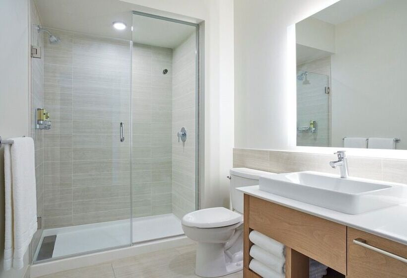 Студия Стандарт Двуспальная Кровать, Element Basalt  Aspen