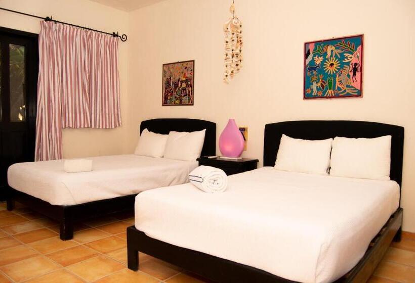 Superior Stúdió Szoba, Siesta Fiesta Hotel Adults Only   5th Avenue