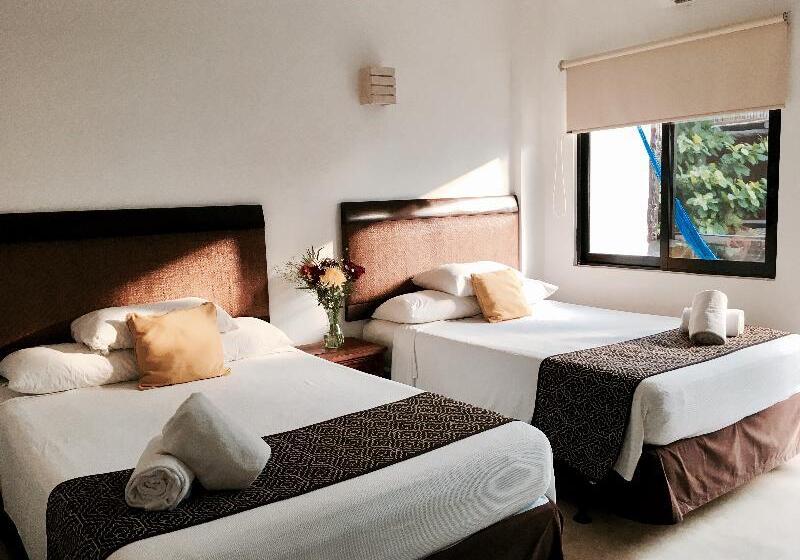 Superior Szoba, Siesta Fiesta Hotel Adults Only   5th Avenue