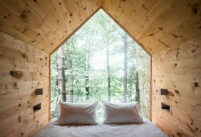 Номер Deluxe Одноместный, Gather Greene
