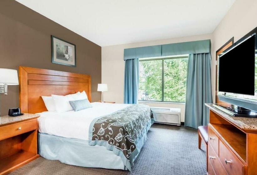 اتاق استاندارد با تخت بزرگ برای معلولان, Inn At Lancaster / Pa Dutch County