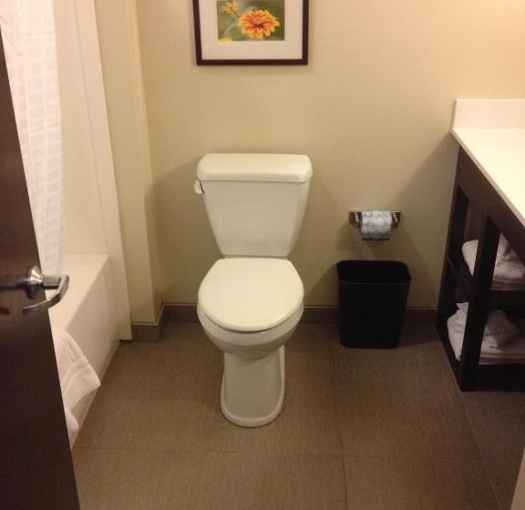 Люкс, Comfort Suites Youngstown North