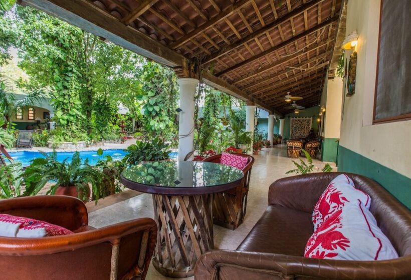 주니어 스위트, Casa Quetzal