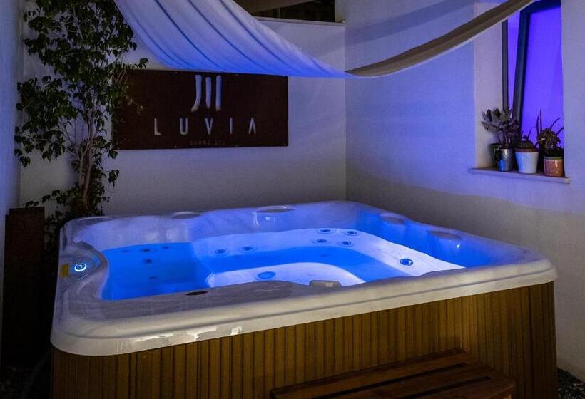Номер Стандарт Кровать Кинг Адаптированный для Инвалидов, Luvias Spa