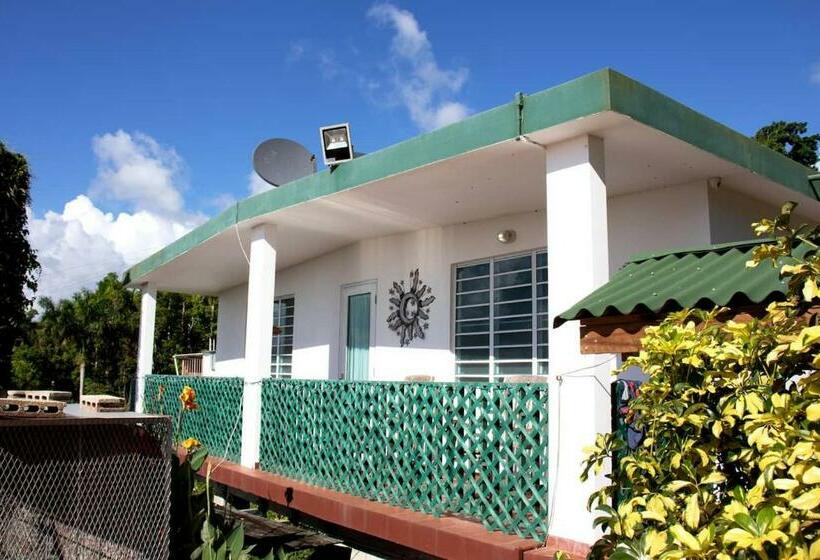بنگله خانوادگی, Pancho S Paradise   Rainforest Guesthouse With Pool, Gazebo And View