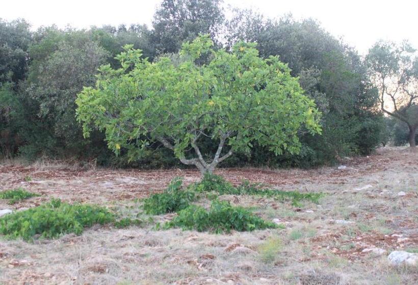 سوییت خانوادگی, Il Boschetto