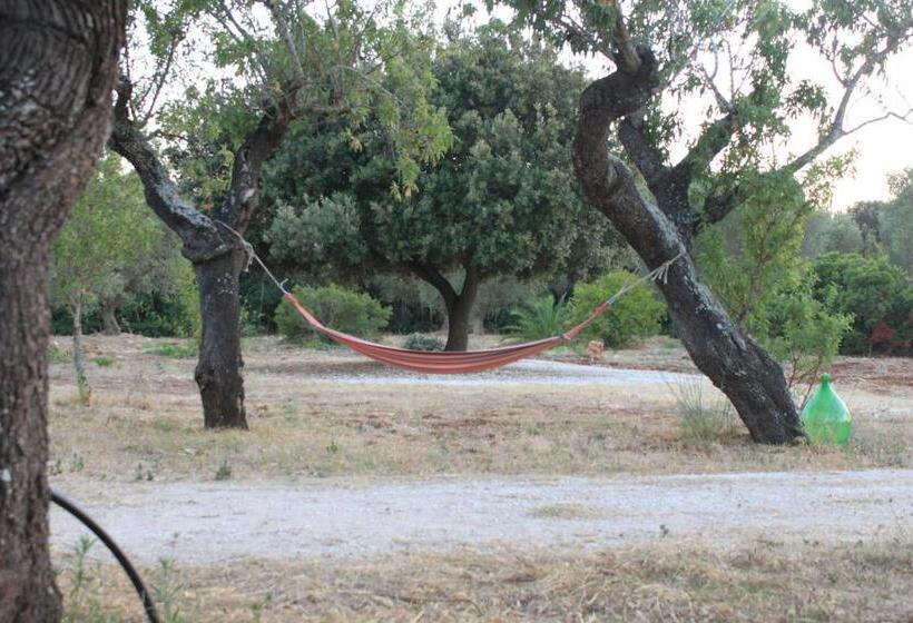 سوییت خانوادگی, Il Boschetto