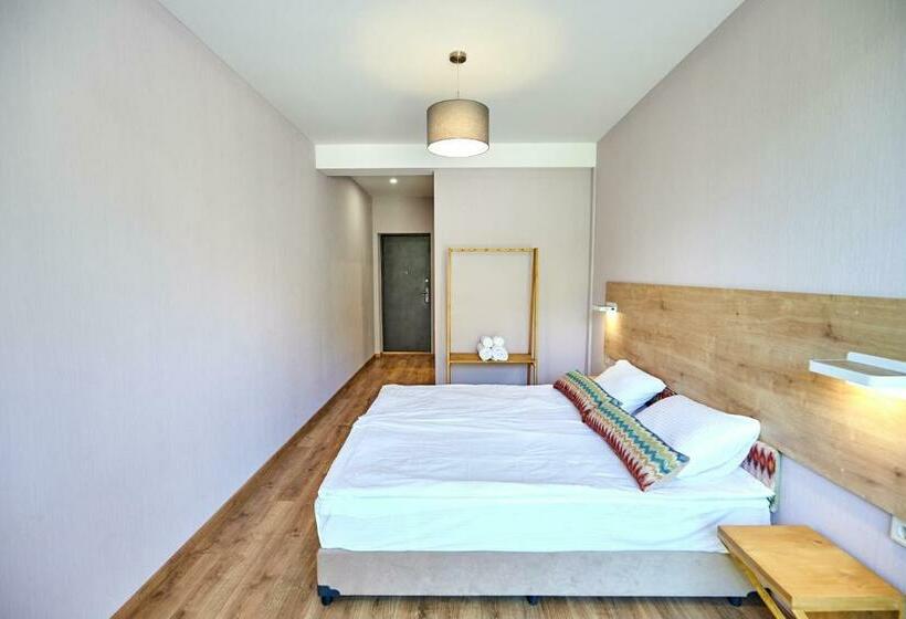 اتاق استاندارد با چشم‌انداز کوهستان, Nika Vacheishvili S Guest House