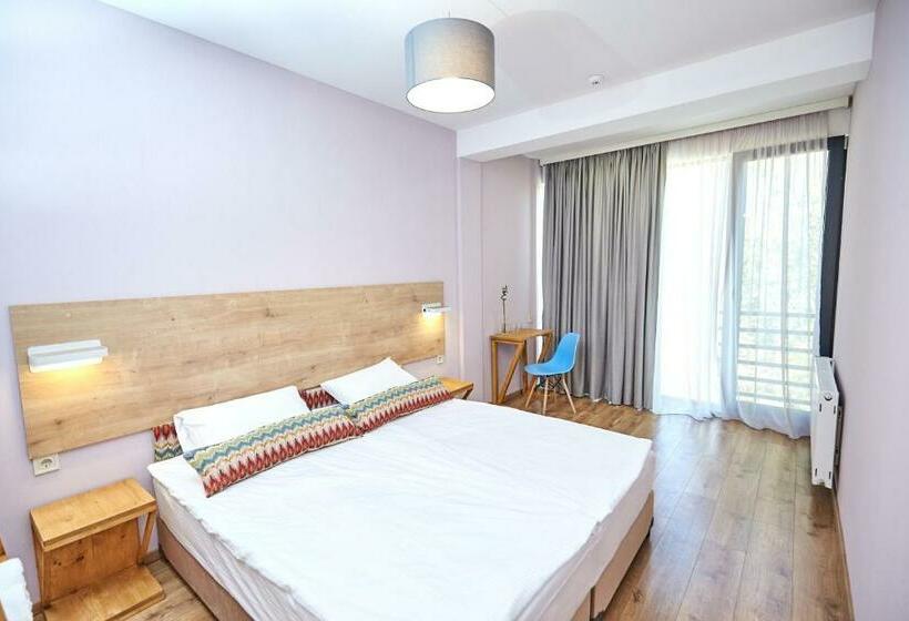 اتاق استاندارد با چشم‌انداز کوهستان, Nika Vacheishvili S Guest House