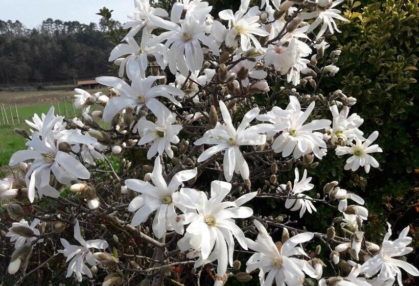 패밀리 룸, Casa San Felice