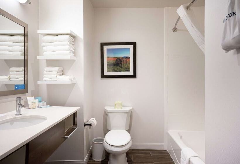 장애인을 위한 킹사이즈 침대 스탠다드 룸, Hampton Inn & Suites Georgetown/austin North