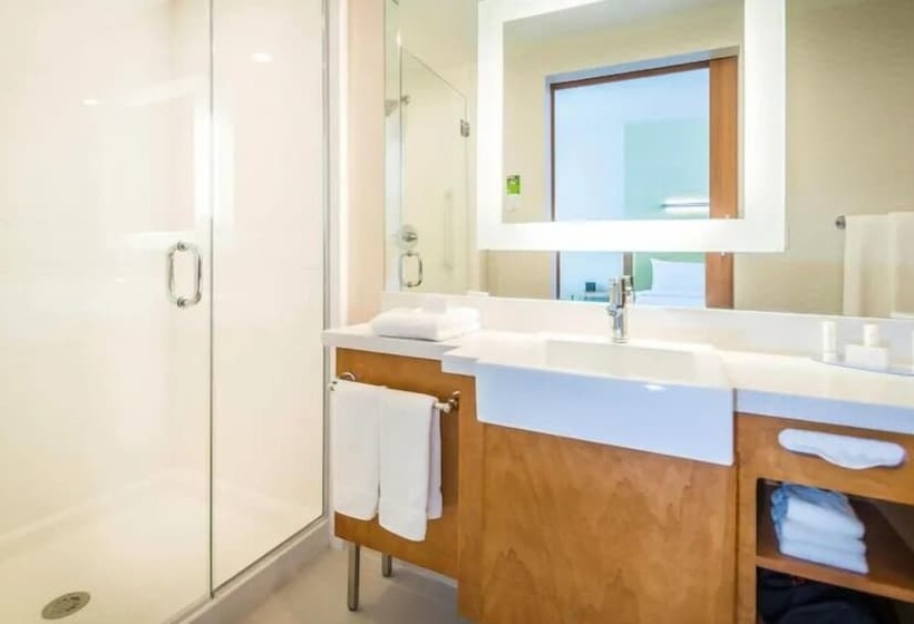 Студия Стандарт Двуспальная Кровать, Springhill Suites By Marriott Houston Westchase