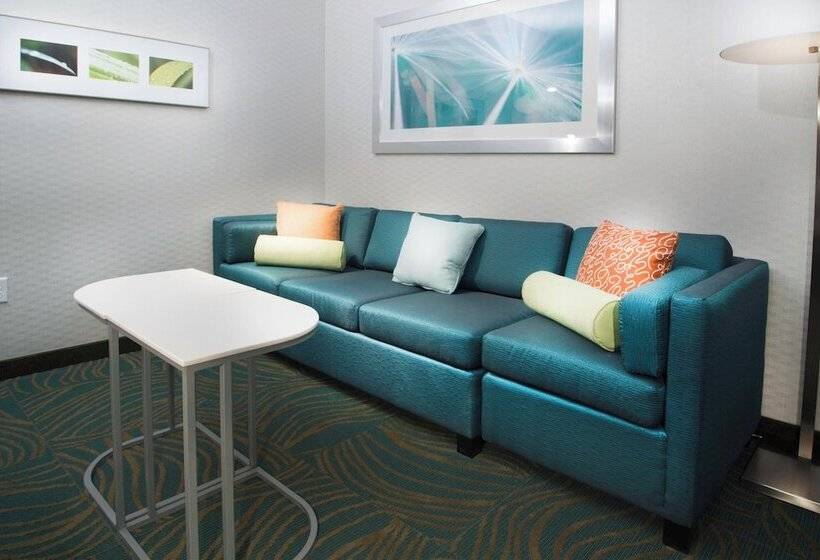 Студия Стандарт, Springhill Suites By Marriott Houston Westchase