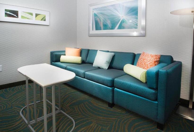 Студио Стандарт Кровать Кинг, Springhill Suites By Marriott Houston Westchase